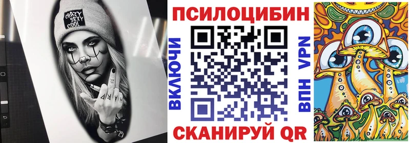 даркнет какой сайт что такое наркотик Енисейск Псилоцибиновые грибы мицелий